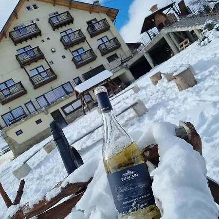 Maison d'hôtes Pensiunea Ursul Carcotas Fundata