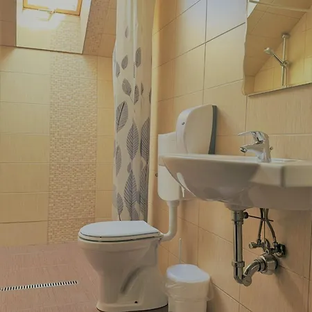 Maison d'hôtes Pensiunea Ursul Carcotas 3*