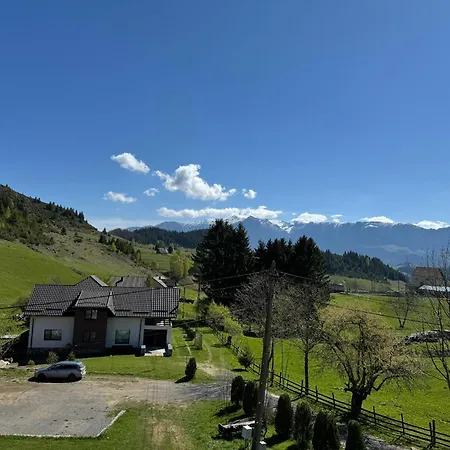 Maison d'hôtes Pensiunea Ursul Carcotas