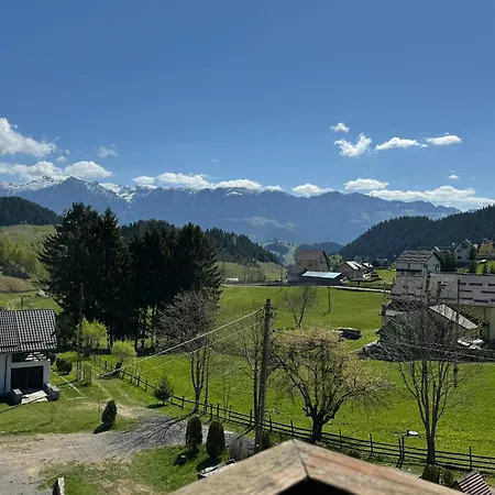 Maison d'hôtes Pensiunea Ursul Carcotas